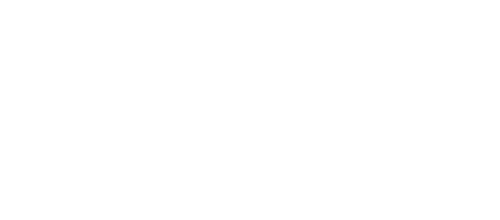 No Dice Collective logo